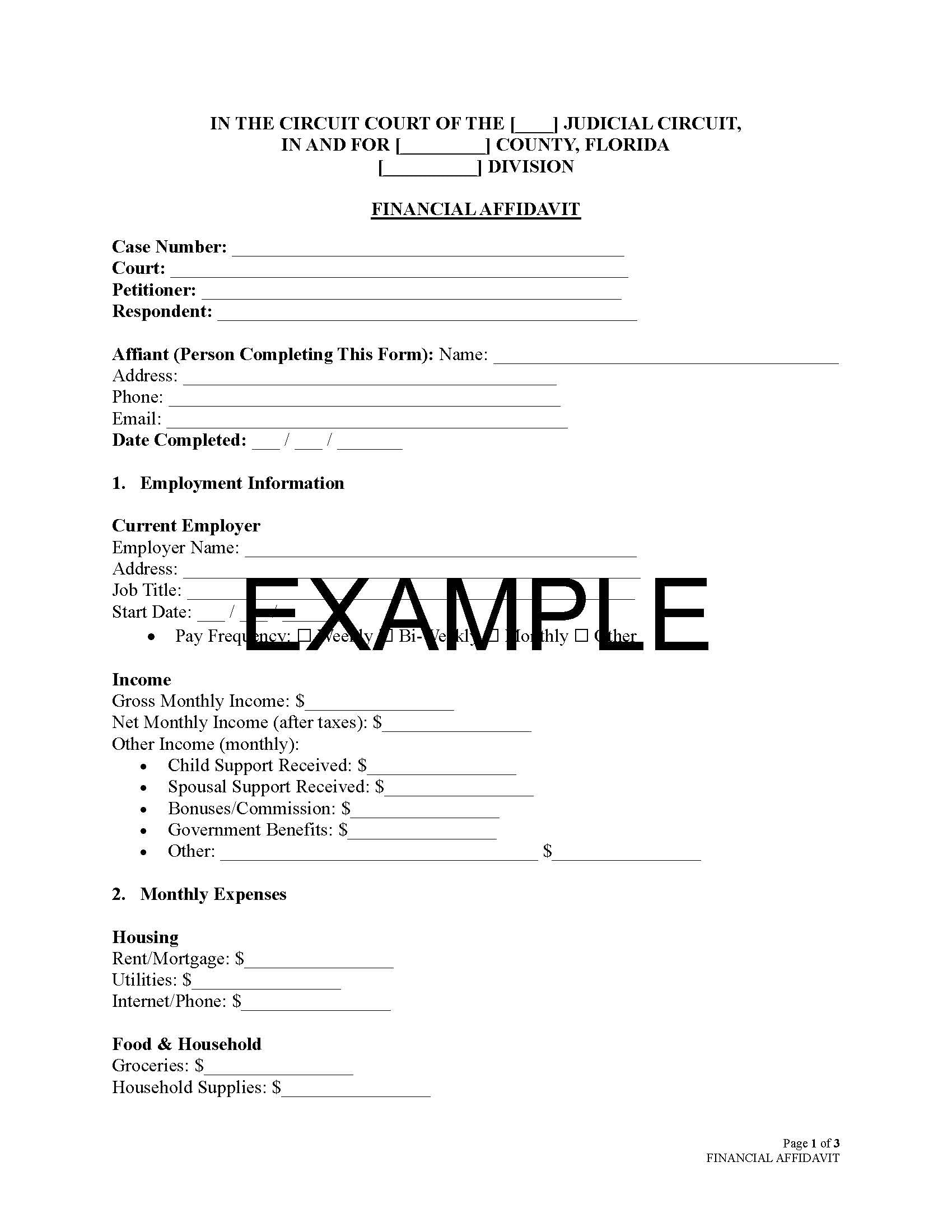 Financial Affidavit Template – Income & Assets Declaration | Editable Word & PDF